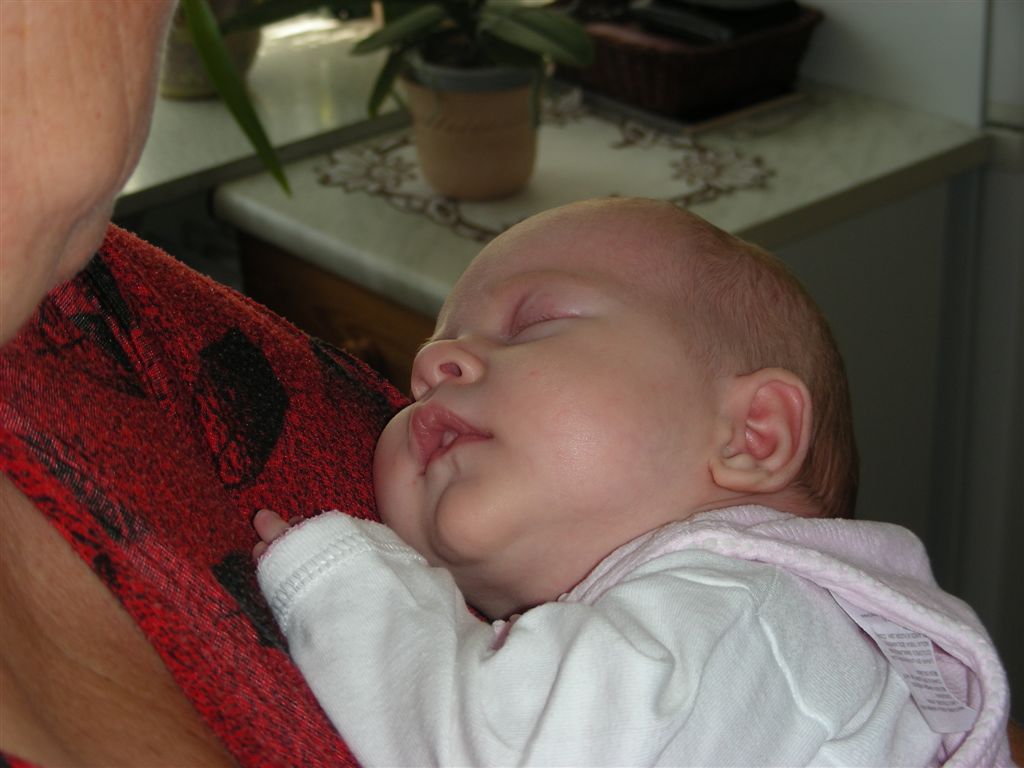 DSCN2490.JPG