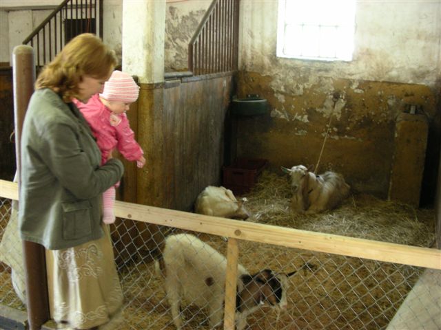 DSCN4408.JPG