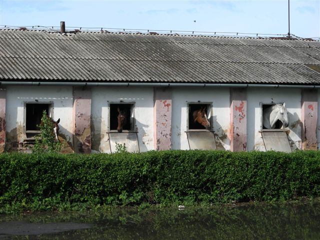 DSCN4414.JPG