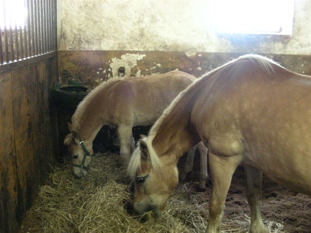 DSCN4416.JPG