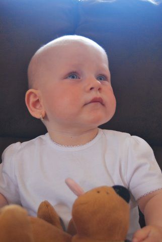 DSC_0461[1].jpg