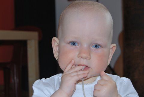 DSC_0483[1].jpg
