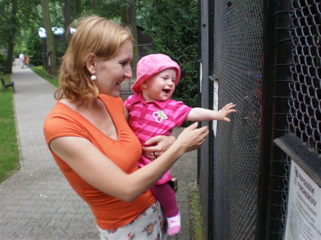 P7050146.JPG
