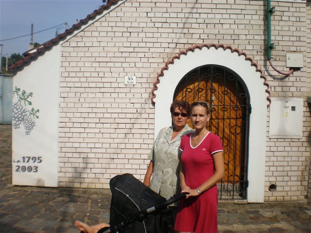P8260494.JPG