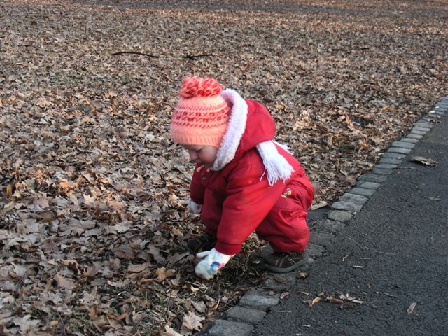 DSCN8891.JPG
