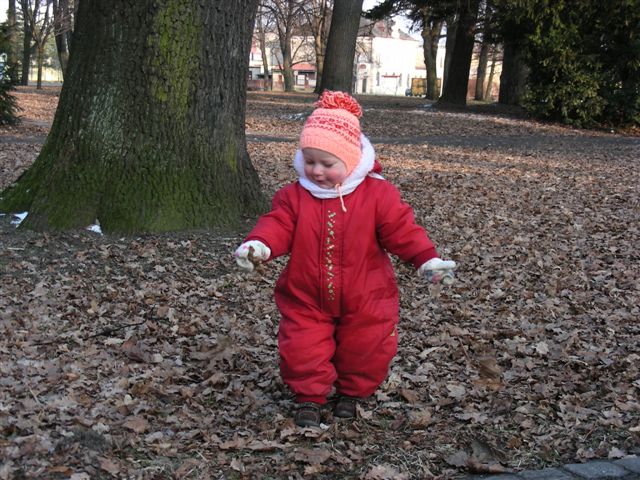 DSCN8894.JPG