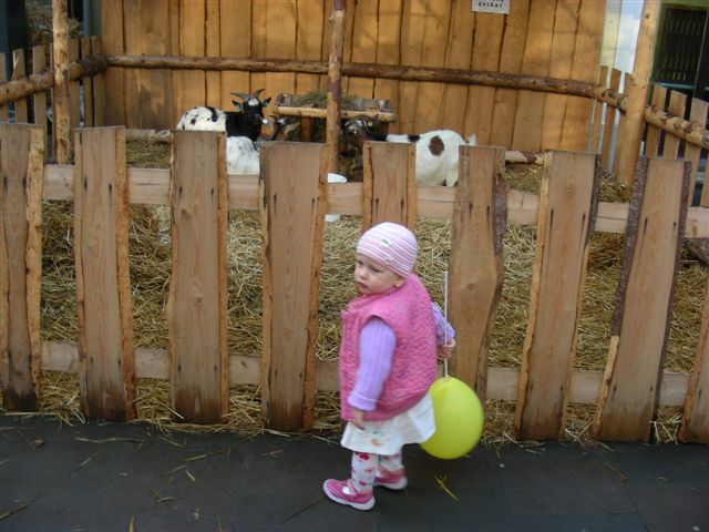 DSCN9108.JPG