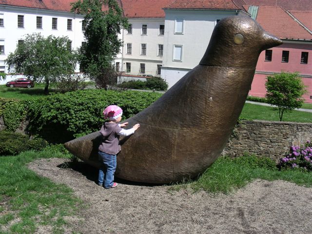 DSCN9846