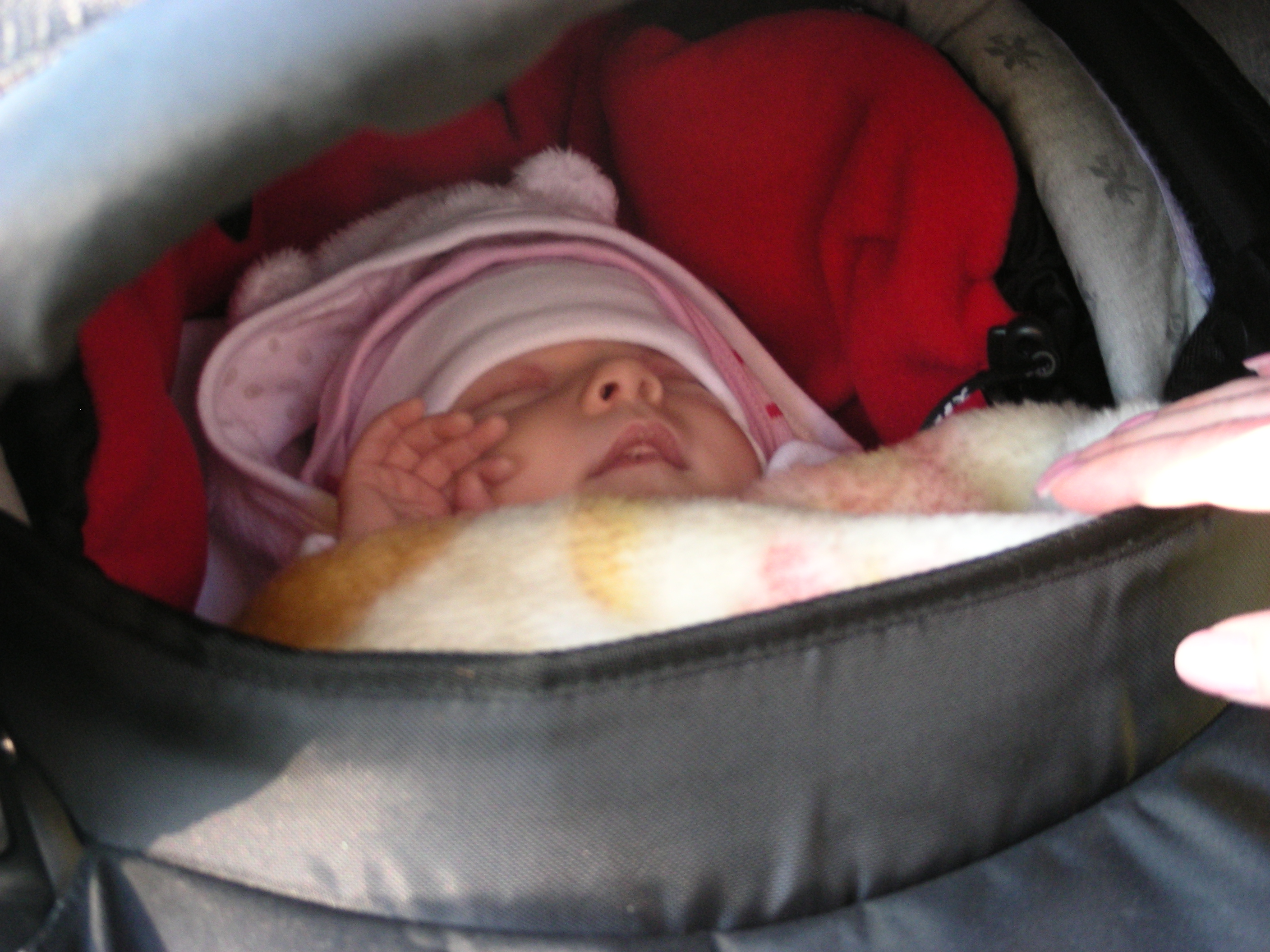 DSCN2434.JPG