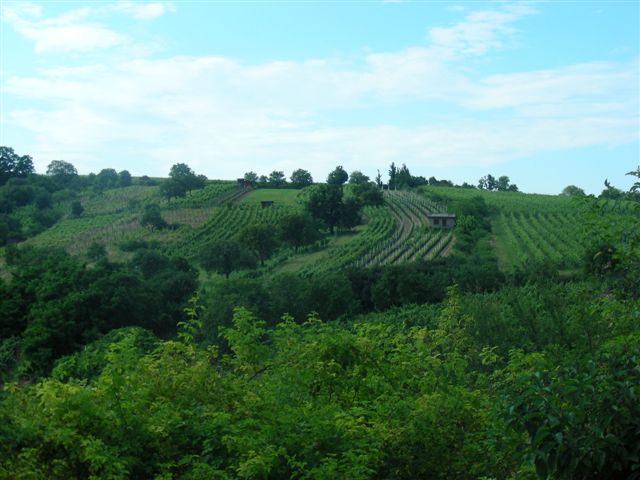 DSCN0460